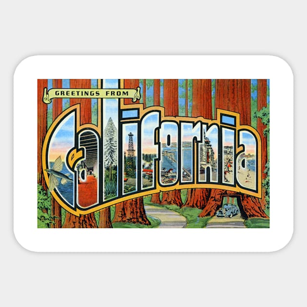 Greetings from California (Redwoods) - Vintage Large Letter Postcard Sticker by Naves